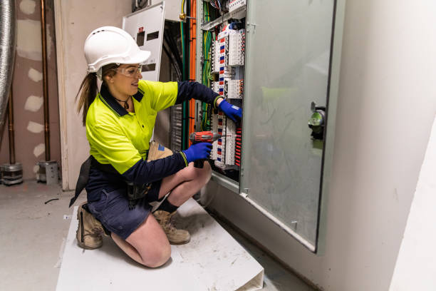 Best Electric Panel Repair  in Waukegan, IL